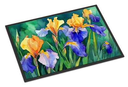 Tennessee Iris in Watercolor Doormat Front Door Mat Indoor Outdoor Rugs for Entryway, Non Slip Washable Low Pile, 24H X 36W